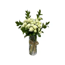 فازة النقاء
